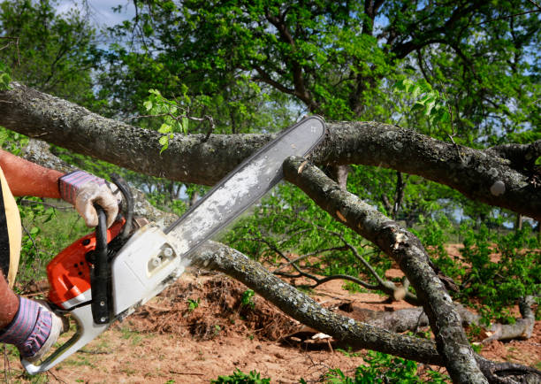 Mulching Services in Terryville, NY